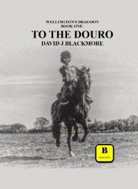 to the douro by william lynes
